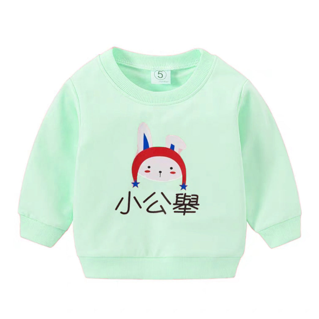 [A02-SW01] - Baju Sweater Lengan Panjang Anak Usia 1-4 Tahun Perempuan Cewek Laki Laki Cowok - Atasan Animal Rainbow - BABYHOKI STORE