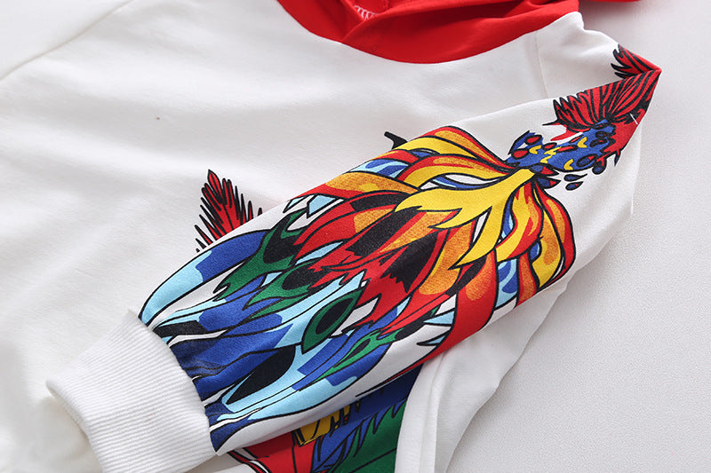 [345347] - Setelan Jaket Hoodie Import Celana Panjang Jogger Anak Laki-Laki - Motif Colorful Feather