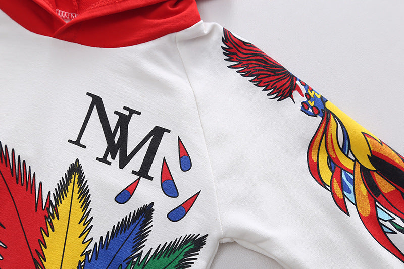 [345347] - Setelan Jaket Hoodie Celana Panjang Jogger Anak Laki-Laki - Motif Colorful Feather